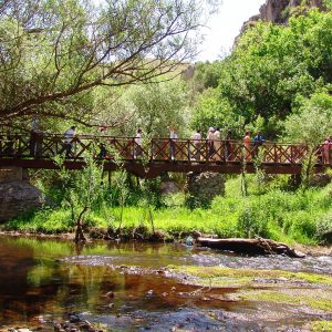 1-Day | Cappadocia-Green Tour from Istanbul by ✈ 1-Day | Cappadocia-Green Tour from Istanbul by ✈