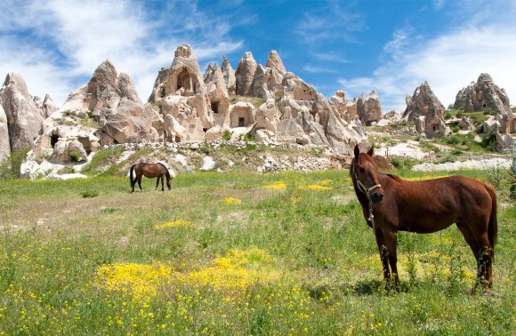 8 Days Tour from Istanbul